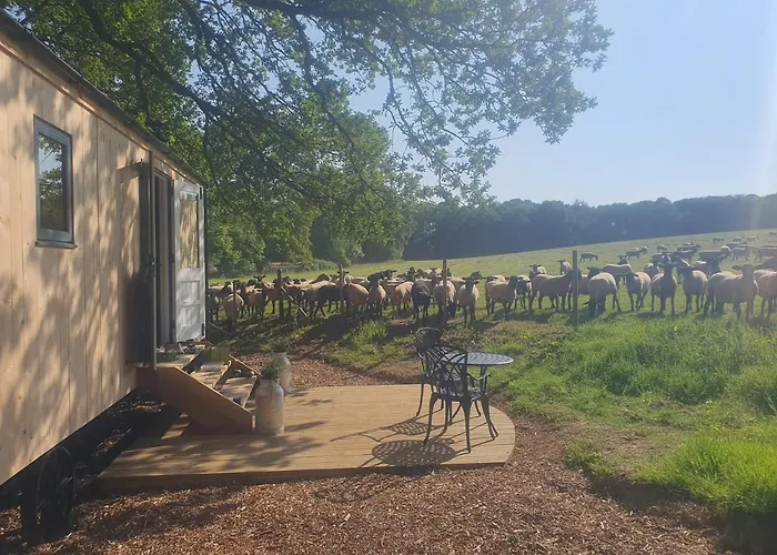 Coachroad Shepherds Huts