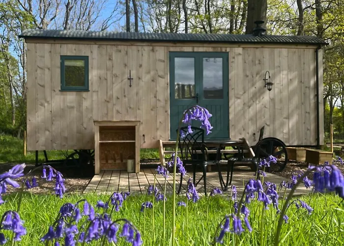 Coachroad Shepherds Huts