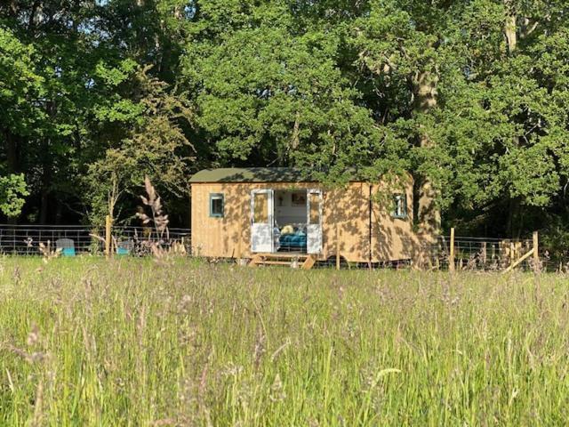 Holiday home Coachroad Shepherds Huts Petworth