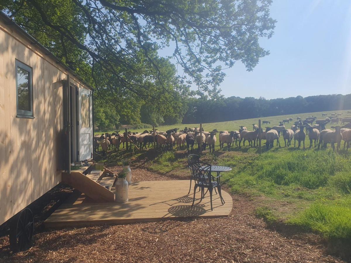 Holiday home Coachroad Shepherds Huts *