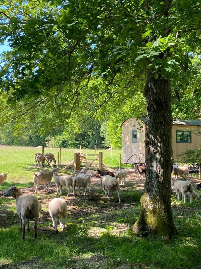 Coachroad Shepherds Huts * Petworth
